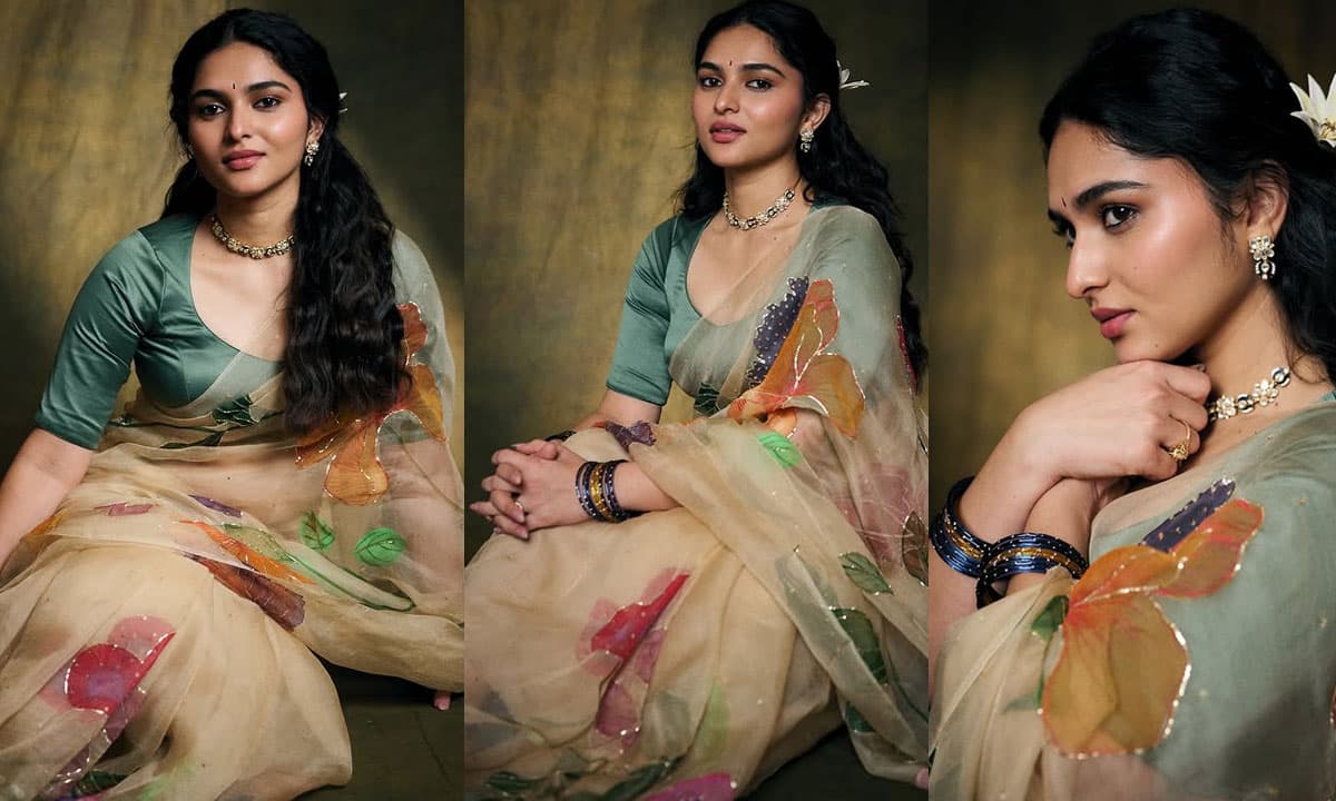 Kayadu Lohar's Hand-Painted Saree Look Goes Viral As Multi-Language Career Soars